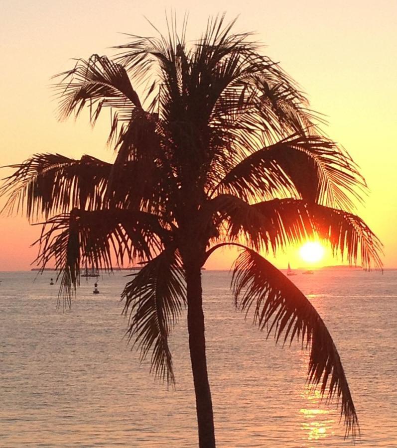 Family, Couples Retreat Near Airport, Cruise Port & Beaches Fort Lauderdale Kültér fotó